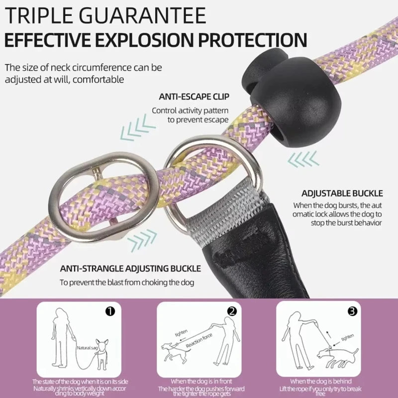 Reflective Design Leash for Dogs